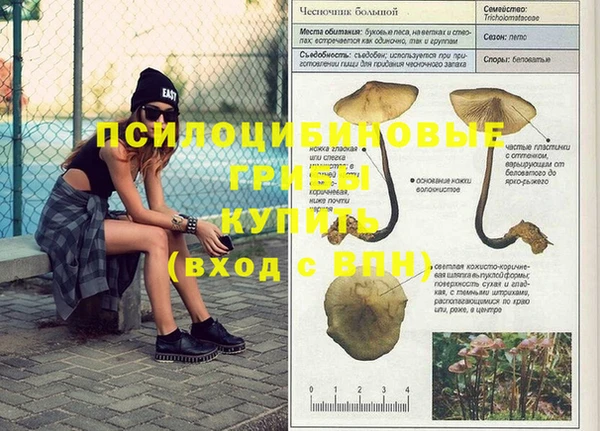 прущие крисы Арсеньев