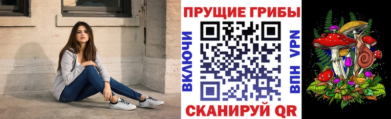 Галлюциногенные грибы мухоморы  наркошоп  Макушино 
